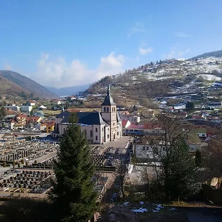 Du Centre Lejlighed La Bresse